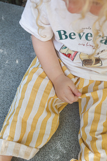 Summery Trousers  - Stripe in 5 colours