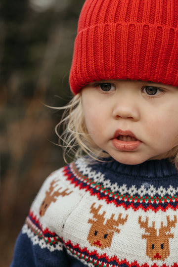 Christmas Jumper - Reindeer Blue